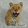Reproduction Jaguar Shoulder Mount For Sale - Image 5