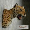 Reproduction Jaguar Shoulder Mount For Sale - Image 7