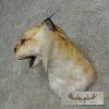 Reproduction Eurasian Lynx Shoulder Mount For Sale - Image 3