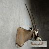 Gemsbok Oryx Taxidermy Shoulder Mount For Sale - Image 4