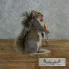 Novelty Gray Squirrel Taxidermy Mount For Sale - Image 5
