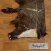 Nyala Rug Taxidermy Mount For Sale - Image 2