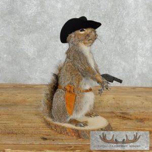 Cowboy Squirrel Novelty Taxidermy Mount Taxidermy
