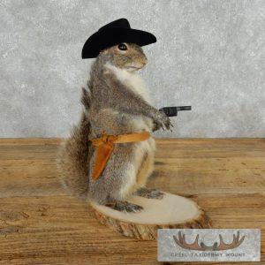 Cowboy Squirrel Novelty Taxidermy Mount Taxidermy