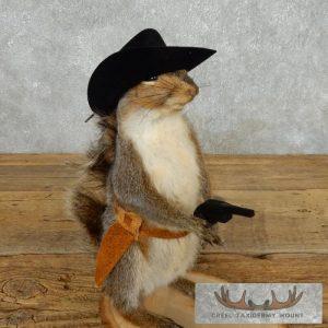 Cowboy Squirrel Novelty Taxidermy Mount Taxidermy