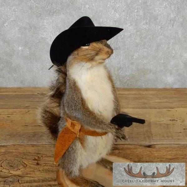 Cowboy Squirrel Novelty Taxidermy Mount For Sale