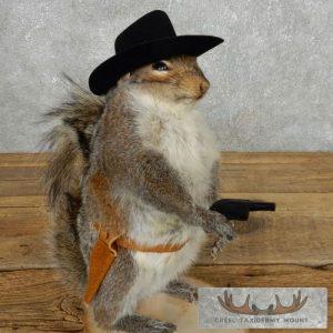 Cowboy Squirrel Novelty Taxidermy Mount Taxidermy