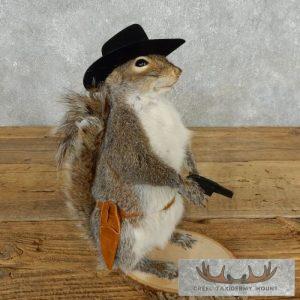 Cowboy Squirrel Novelty Taxidermy Mount Taxidermy