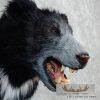 Reproduction Sloth Bear Shoulder Mount For Sale - Image 8