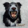 Reproduction Sloth Bear Shoulder Mount For Sale - Image 7