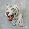 Reproduction White Bengal Tiger Shoulder Mount For Sale - Image 3