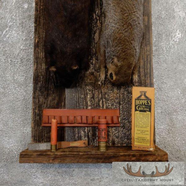 Captain's Classic Black & Grey Squirrel Display For Sale - Image 4
