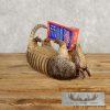Reproduction Armadillo Life-Size Taxidermy Mount For Sale - Image 4