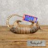 Reproduction Armadillo Life-Size Taxidermy Mount For Sale - Image 3