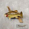 19" Largemouth Bass Taxidermy Fish Mount For Sale - Image 3
