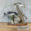 White Crappie and Black Crappie Fish Scene For Sale - Image 4