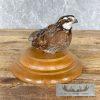 Bobwhite Quail Taxidermy Bird Mount For Sale - Image 3