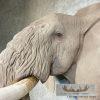 African Elephant Replica Taxidermy Shoulder Mount For Sale - Image 9