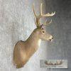 Whitetail Deer Taxidermy Shoulder Mount For Sale - Image 5