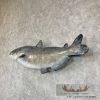 Reproduction Blue Catfish Taxidermy Fish Mount For Sale - Image 4
