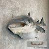 Reproduction Blue Catfish Taxidermy Fish Mount For Sale - Image 2