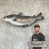 Reproduction Blue Catfish Taxidermy Fish Mount For Sale - Image 8