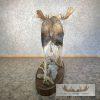 Alaskan Yukon Moose Life-Size Taxidermy Mount For Sale - Image 10