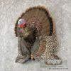 Eastern Wild Turkey Half-Life-Size Taxidermy Mount For Sale - Image 3