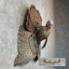 Eastern Wild Turkey Half-Life-Size Taxidermy Mount For Sale - Image 5