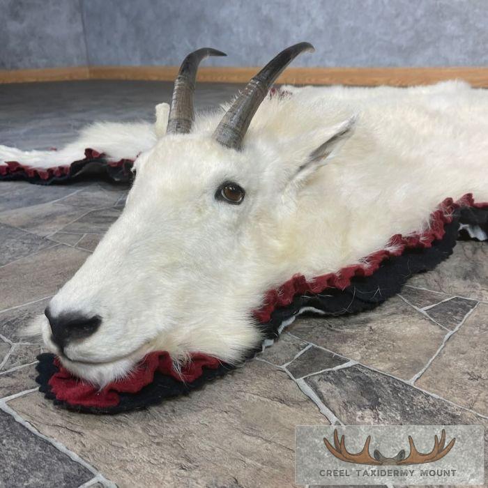 Mount Goat Rug Mountain Goat Full Rug Taxidermy For Sale | Creel Taxidermy