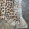 Painted Cowhide Taxidermy Skin For Sale - Image 4