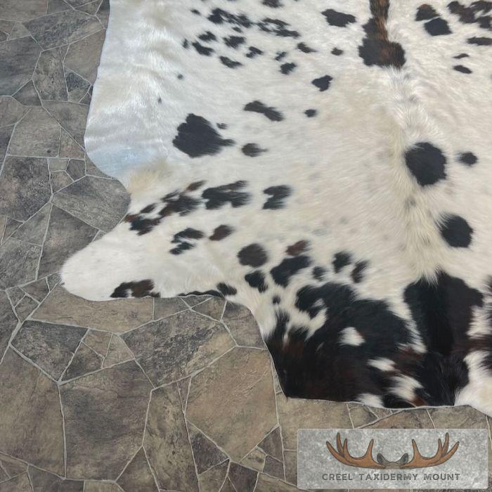 Black And White Cowhide Taxidermy Skin For Sale - Image 3