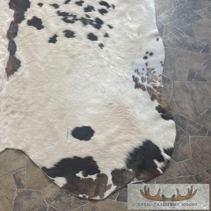 Black And White Cowhide Taxidermy Skin For Sale - Image 4
