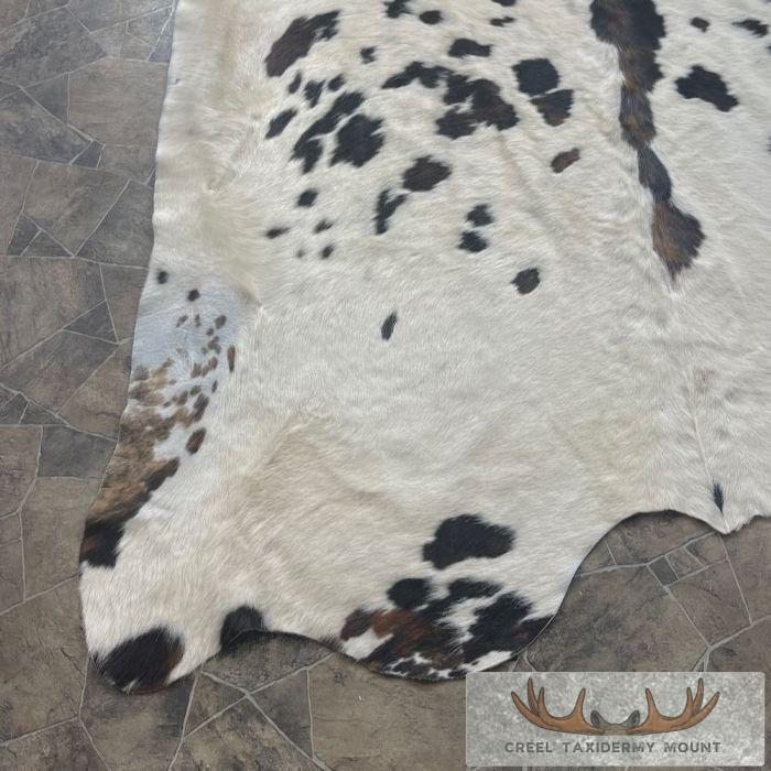 Black And White Cowhide Taxidermy Skin For Sale - Image 5