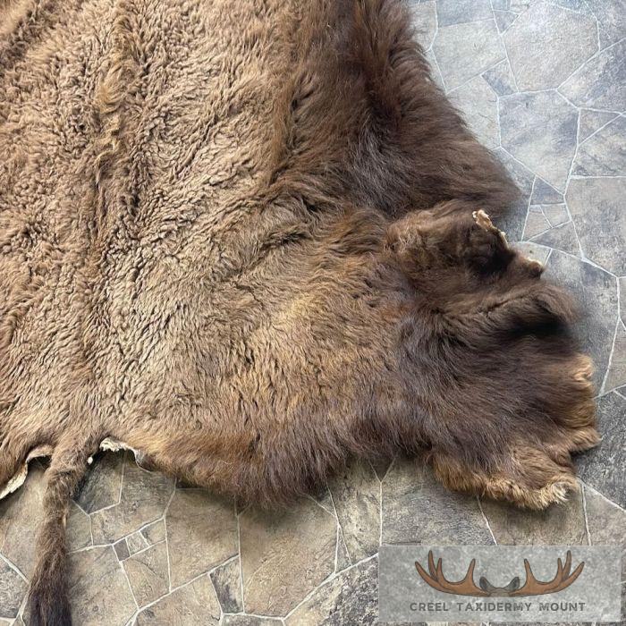 American Buffalo (Bison) Taxidermy Hide For Sale - Image 2