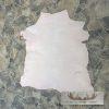 Painted Leather Hide Taxidermy Decor For Sale - Image 5