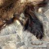 Alaskan Wolverine Tanned Hide For Sale - Image 6