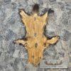 Alaskan Wolverine Tanned Hide For Sale - Image 7