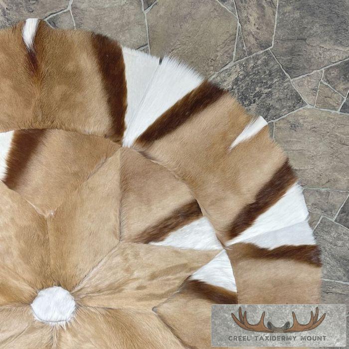 African Springbok Hide Taxidermy Throw For Sale - Image 3