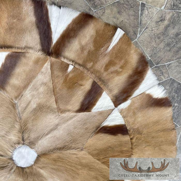 African Springbok Hide Taxidermy Throw For Sale - Image 5