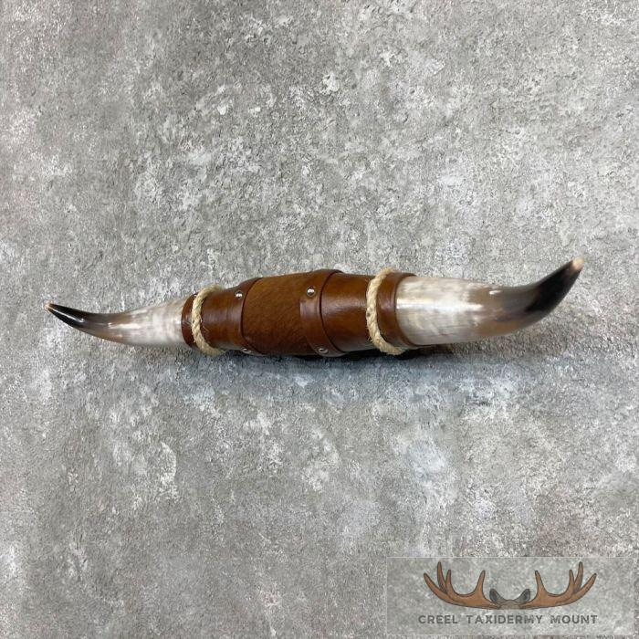 Longhorn Steer Plaque For Sale - Image 2