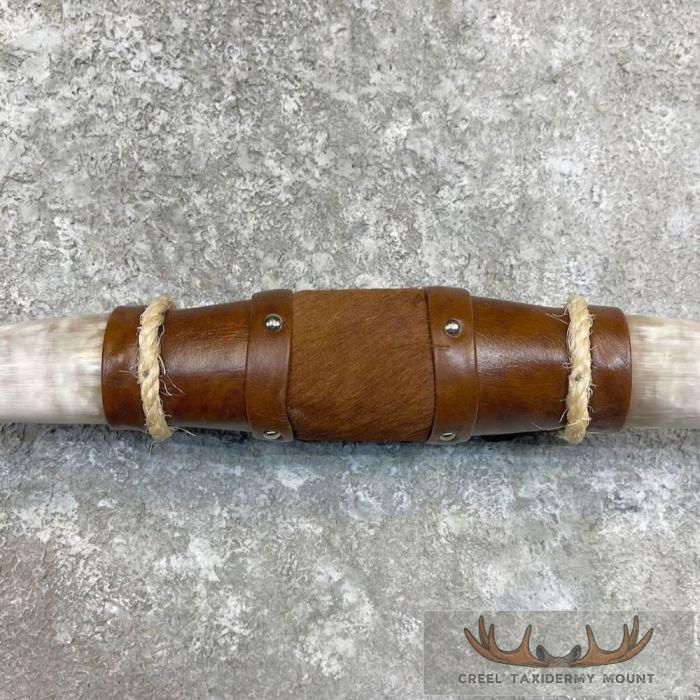 Longhorn Steer Plaque For Sale - Image 4