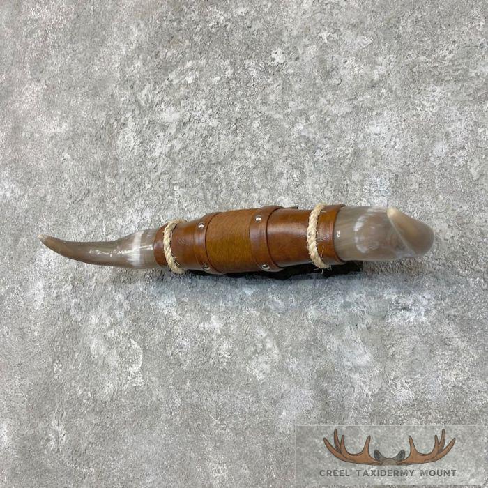 Longhorn Steer Plaque For Sale - Image 2