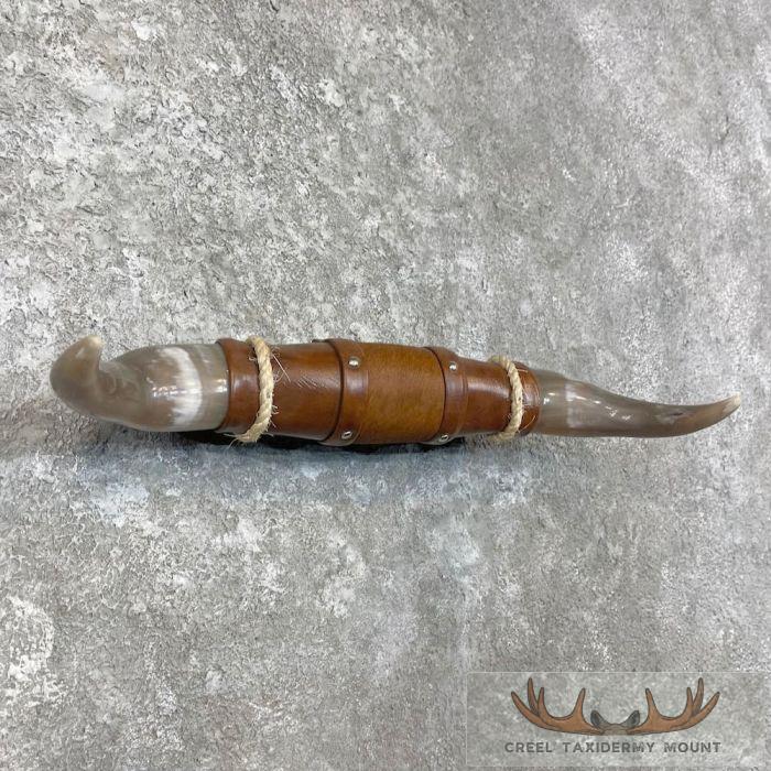 Longhorn Steer Plaque For Sale - Image 3