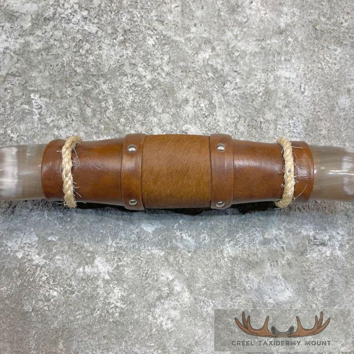 Longhorn Steer Plaque For Sale - Image 4