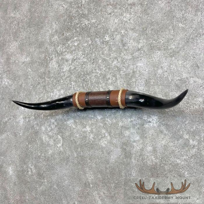 Longhorn Steer Plaque For Sale - Image 2