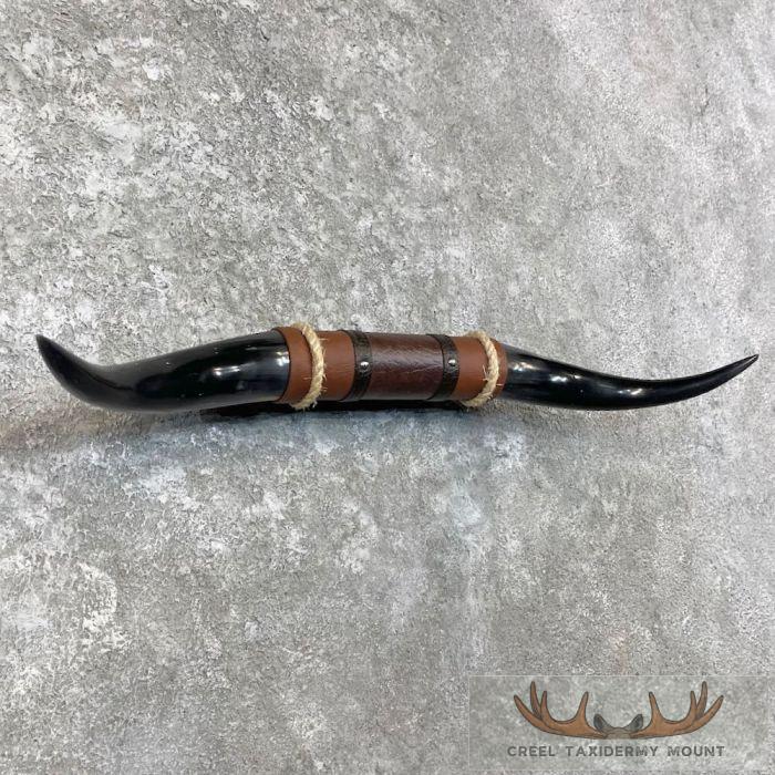 Longhorn Steer Plaque For Sale - Image 3