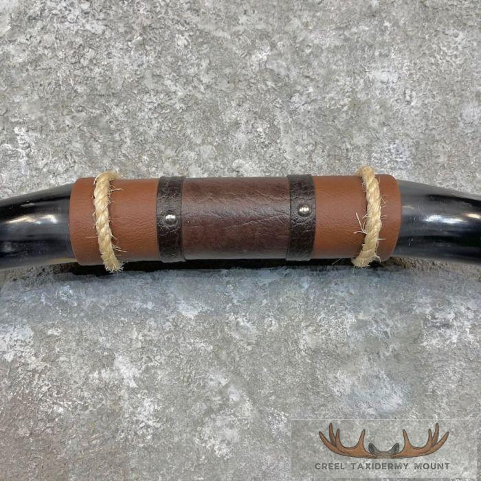 Longhorn Steer Plaque For Sale - Image 4