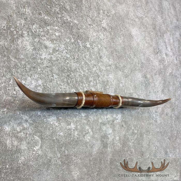 Longhorn Steer Plaque For Sale - Image 3