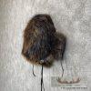 North American Beaver Pelt Hat For Sale - Image 2